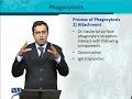 BT302 Immunology Lecture No 9