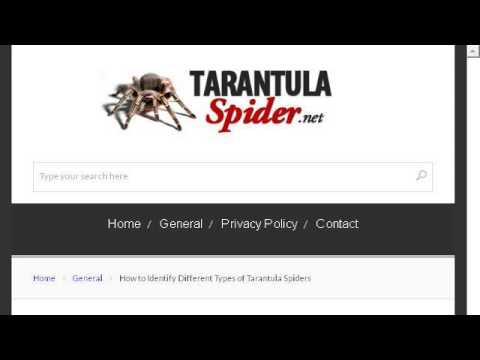 camera iphone 8 plus apk How-To Keep The Humidity Up In A Tarantula Cage