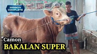 BAKALAN SUPER RIZA ANDI SEPEK 1TON MASIH ANGET🔥🔥🔥