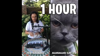 1 HOUR The Kiffness x Alugalug Cat 3 0 Spell Cat by Safe Gamer 1,252 views 7 months ago 1 hour, 1 minute