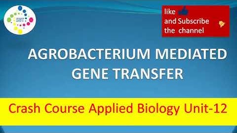 AGROBACTERIUM MEDIATED GENE TRANSFER ||Crash Course Applied Biology Unit-12 || csir-net || DBT
