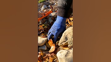 Wow!! Incredible Find by a Treasure Hunter in the River #viralshorts #metaldetecting #treasure