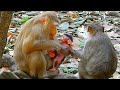 The Power of Love: Rose loves all babies and she would like to take care of all babies if she could
