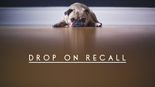 Teaching Drop on Recall