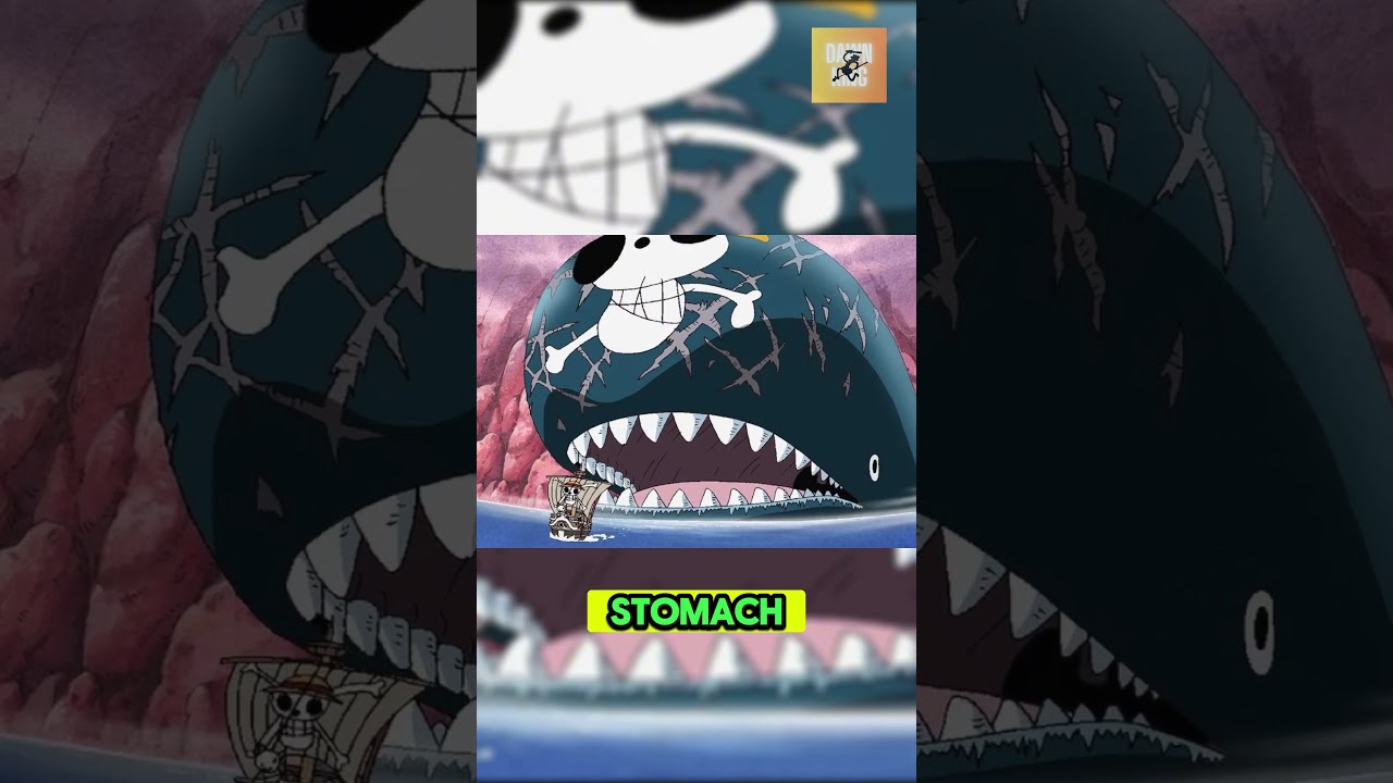 Where is Roger's ship, the Oro Jackson? #onepiece #animeshorts #pirateking #shanks