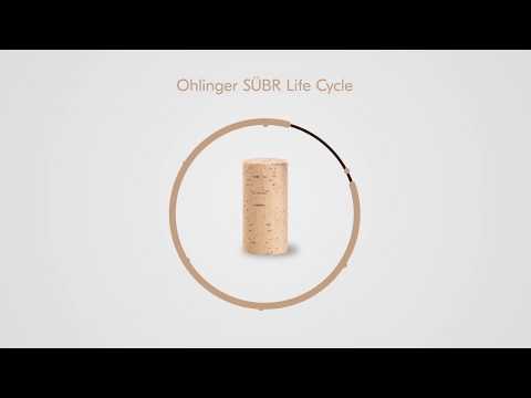 Biodegradable Wine Cork - SUBR