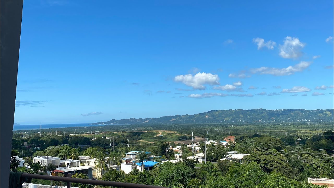 Day in the Life | ForRosie