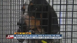Two Dozen Dogs Taken In By Humane Society
