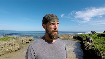 WHAT IT TAKES TO BUILD A COB HOUSE - COB BUILDING COMPONENTS