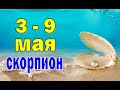 СКОРПИОН ⭐ неделя с 3 по 9 мая. Таро прогноз гороскоп