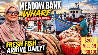 What $200 Million Did to Meadow Bank Fisheries!