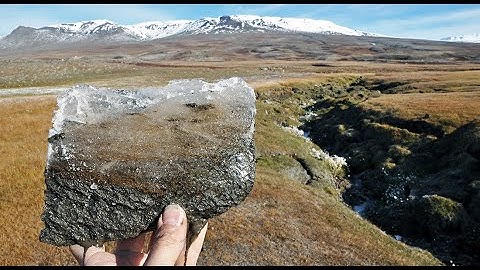 Scientists Revive 48,500 Year Old ‘Zombie Virus’ Buried In Ice In Russia.