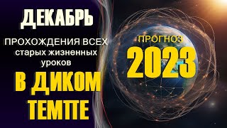 Вибрационный прогноз на декабрь 2023 года-Lee