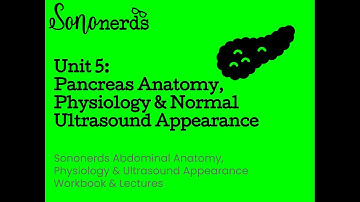 Pancreas :: Anatomy, Physiology & Ultrasound Appearance :: Abdominal Ultrasound with Sononerds