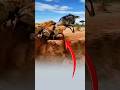 النجاة المستحيلة الإرادة تغلب الأنياب صراع_البقاءviralعزيمةshorts mp3