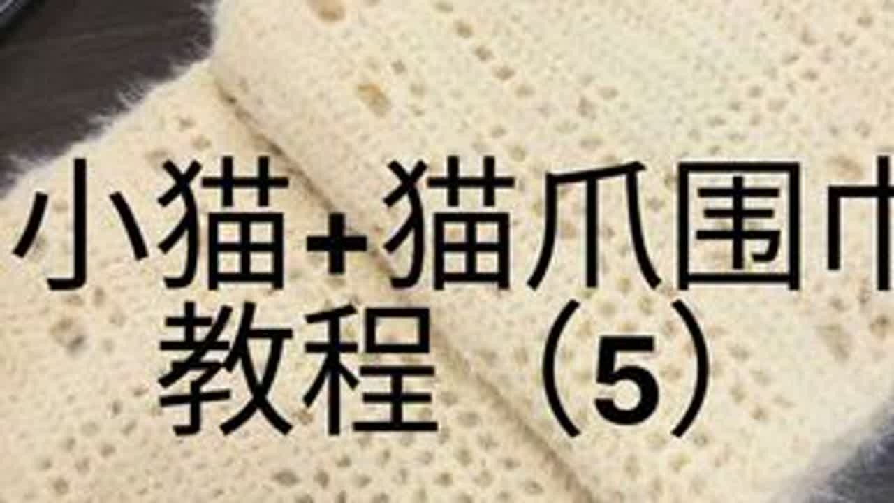 #猫咪踏雪 #猫咪踏雪围巾 #小猫爪围巾 #小猫围巾 #猫爪围巾