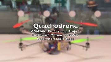 Final Year Project Presentation Video