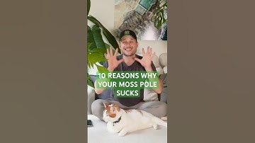 How to make better Moss Poles!