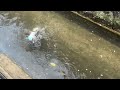 川に洗剤撒いて掃除してみたwww 川に洗剤撒いて掃除してみたwww