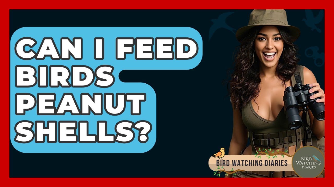 Can I Feed Birds Peanut Shells? - Bird Watching Diaries