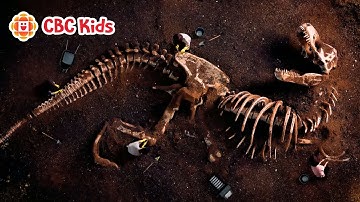 What Happened to the Dinosaurs? | CBC Kids