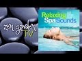 Wellness - Relaxing Spa Sounds 3 ► Full Album 1:28 hr Continuous Mix