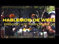 Hablemos de weed 43  testing especial 2 aos al aire