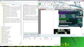 Modding Borderlands With WillowTree  PART  2 -( Gun Shop )