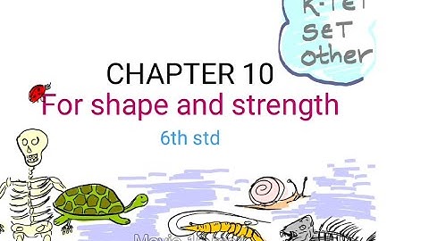 6thstd,endo&exoskeleton,human skeleton,joints,K-TET,CATEGORY-2science,CATEGORY-3 natural science,SET