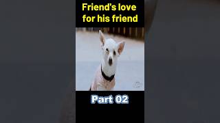 little friend's love for his friend #short #story