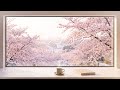 今日も頑張る君へ | Ambient Lofi Piano for Deep Focus & Study【途中広告なし】