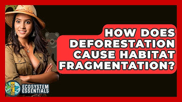How Does Deforestation Cause Habitat Fragmentation? - Ecosystem Essentials