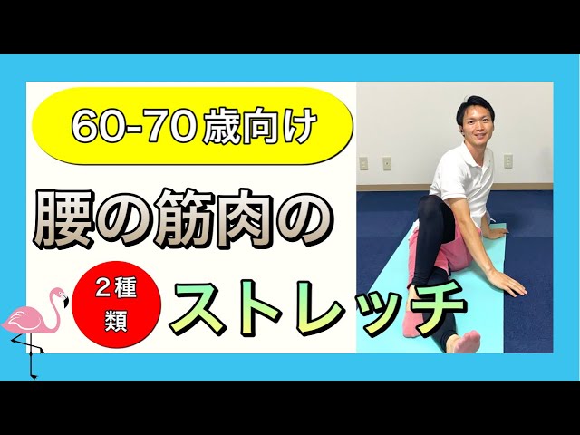 シニア向けストレッチ】慢性腰痛を緩和する腰の筋肉のストレッチ - YouTube