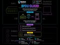 STP BPDU Guard - #shorts #cisco #ccna #education #networking #ccnp