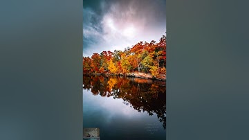 سورة المطففين ( القارئ وديع اليمنى ) -(Wadee Al Yemeni) Al-Mutaffifin Surah