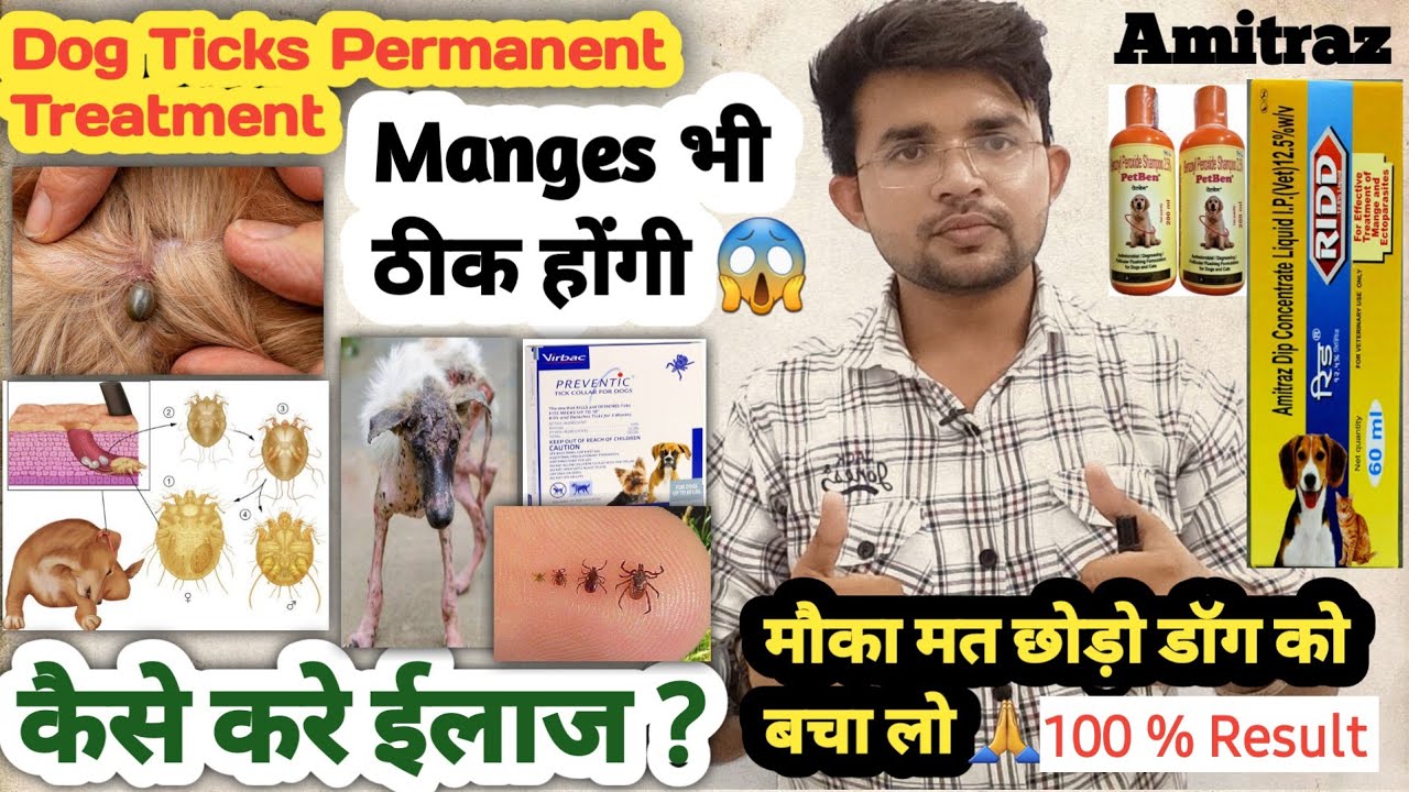 dog ticks permanent treatment Amitraz For Dogs 100 Result