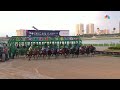 2024 Pegasus World Cup (FULL RACE) | NBC Sports