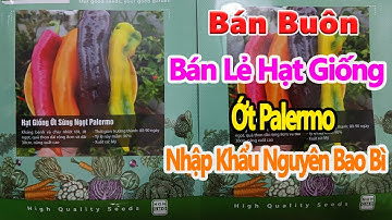 hạt giống ớt palermo khổng lồ nhập khẩu mỹ, bán buôn bán lẻ hạt giống toàn quốc