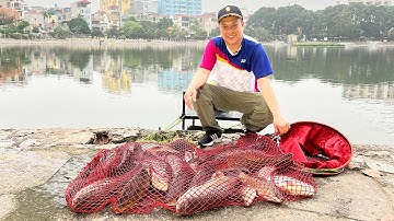 MỒI CÂU CÁ CHÉP – Câu cá chép va phải đàn trôi giật mỏi tay