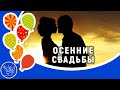 Осенние свадьбы. Стили для proshow producer. Красивая песня для настроения. Видео открытка.