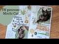 TN Process #2-  Mochi Cat