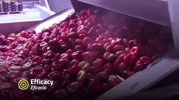 160115 Vídeo INGIVISION