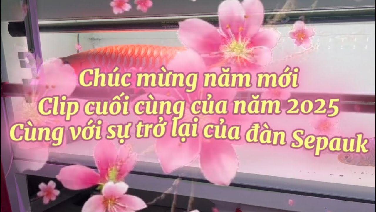 Chúc mừng năm mới 2026