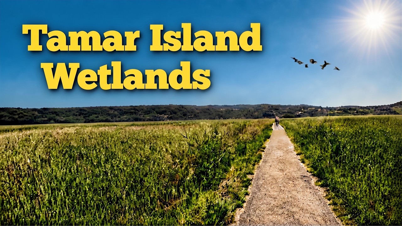 Tamar Island: A Conservation Walk Like No Other in Tasmania Australia
