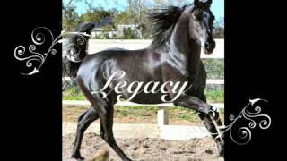 Beautiful Horse Names