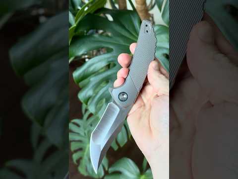 Reate Tiger Alvin Lee Zircuti Collars Hidden Hardware Large Recurve M390 Tanto  knife Lines