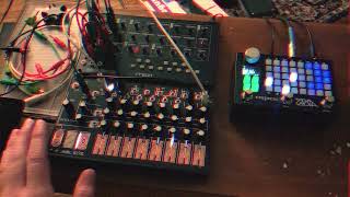 Nightwalkers A Moog Mavis x ZOIA Exploration, Session #8 // Performance by Liam ODell
A different direction on #7s same configuration!
This sequence is more straight forward, but theres some more fun things I learned on the ZOIA this time around. I took the same idea from the bass push-button on the last jam and expanded it to sequence some chords over the Mavis. I also decided to learn how to make a rudimentary visualizer on the patch by adding some star pixels controlled by varying LFOs and creating a moon that would brighten as the chords rang out.
Enjoy! Nightwalkers A Moog Mavis x ZOIA Exploration, Session #8 // Performance by Liam ODell