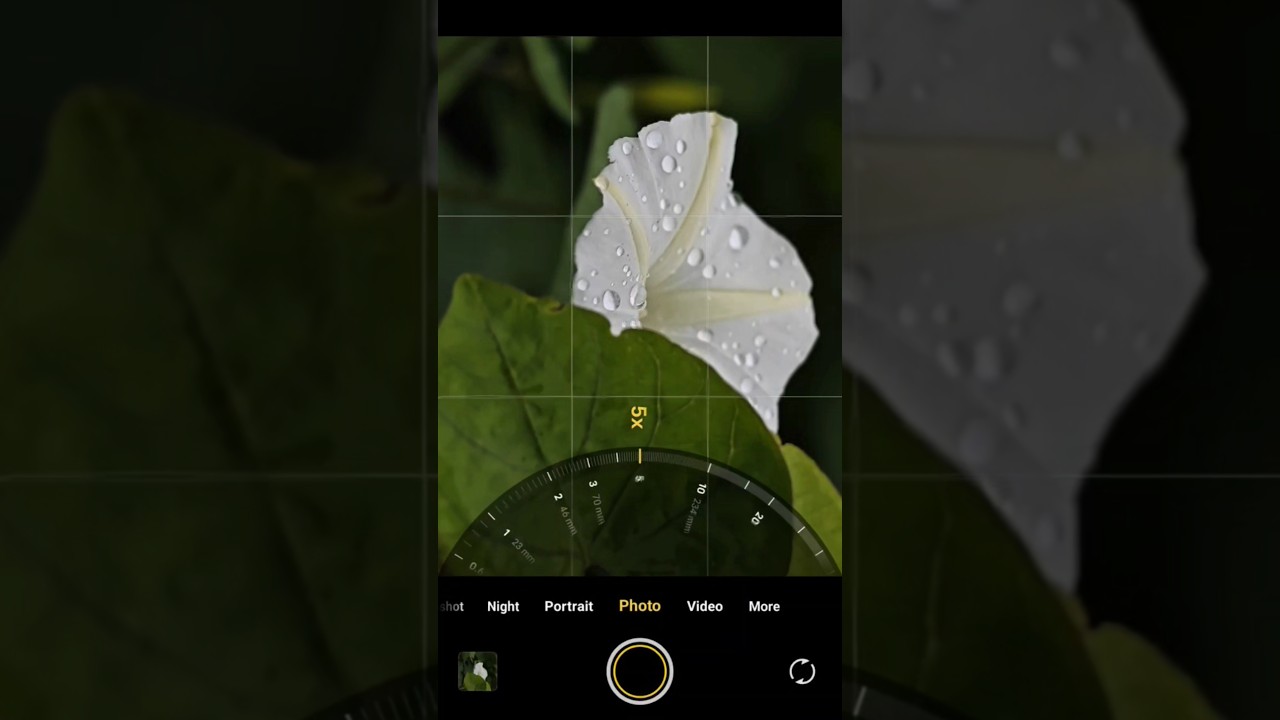 Macro Photography That Feels Like Magic ✨🌸 