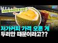 커피 가격이 두리안 때문에 오르는 이유