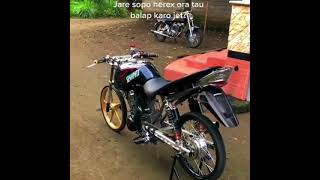 Story Wa Herex Tiger Vs Jet shortsherex